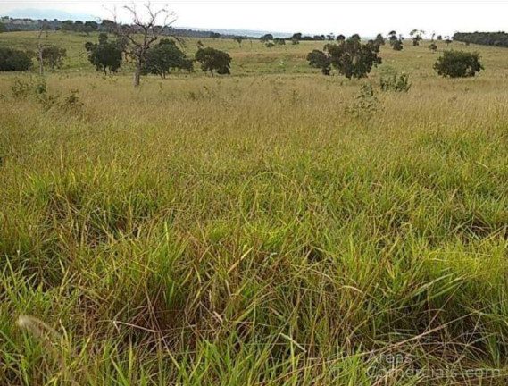 Imagem Chácara à Venda, 100 m² em Rural - Pouso Alegre Imagem Chácara à Venda, 100 m² em Rural - Pouso Alegre
