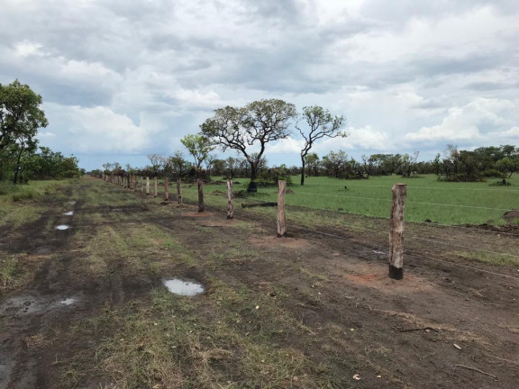 Imagem Fazenda à Venda, 3.100 m² em Rural - Porto Alegre Do Norte Imagem Fazenda à Venda, 3.100 m² em Rural - Porto Alegre Do Norte