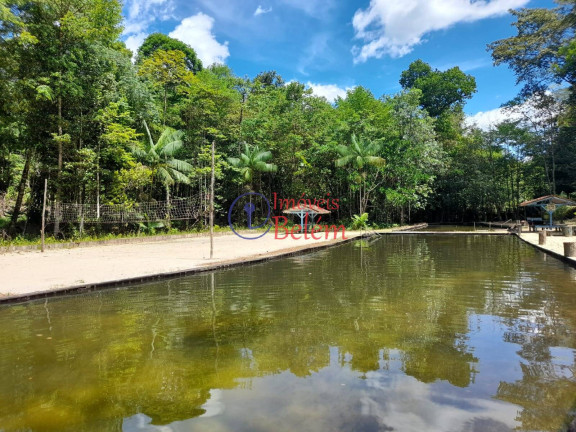 Imagem Casa com 2 Quartos para Alugar, 500 m² em Centro - Santa Bárbara Do Pará
