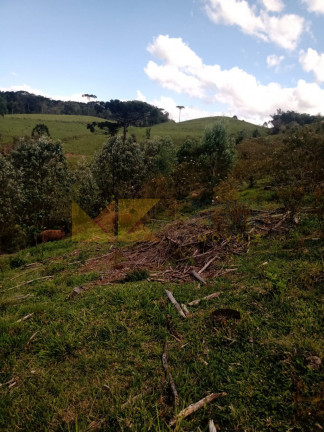 Imagem Fazenda à Venda, 59.000 m² em Alto Cedros - Rio Dos Cedros