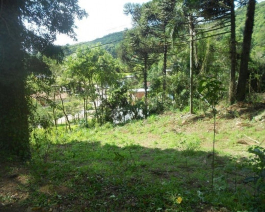 Imagem Terreno à Venda, 2.500 m² em Pia - Nova Petrópolis Imagem Terreno à Venda, 2.500 m² em Pia - Nova Petrópolis