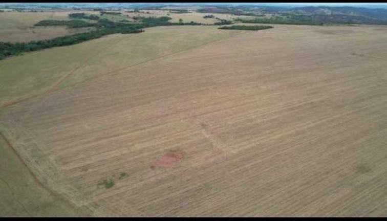Imagem Fazenda à Venda, 600 m² em Piracanjuba Imagem Fazenda à Venda, 600 m² em Piracanjuba