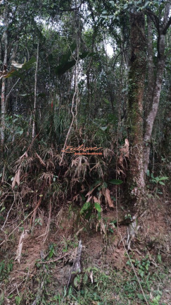 Imagem Chácara à Venda, 2.100 m²