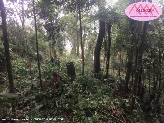 Imagem Terreno à Venda, 1.695 m² em Chácara Carreiras - Santo André Imagem Terreno à Venda, 1.695 m² em Chácara Carreiras - Santo André