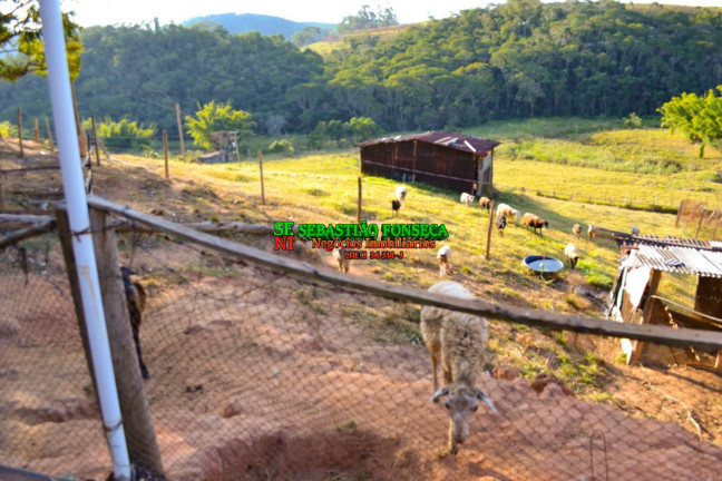 Imagem Chácara à Venda, 8 m² em Jambeiro - Jambeiro Imagem Chácara à Venda, 8 m² em Jambeiro - Jambeiro