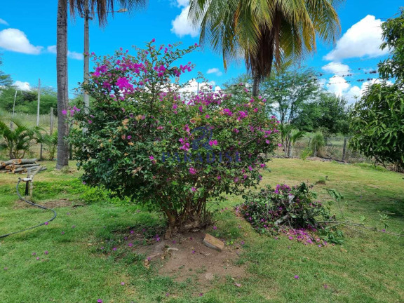 Imagem Fazenda à Venda, 2.551.000 m² em Centro - Santa Terezinha Imagem Fazenda à Venda, 2.551.000 m² em Centro - Santa Terezinha