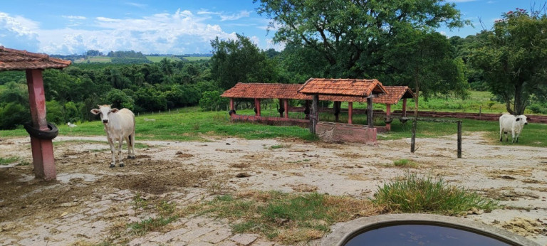 Imagem Imóvel com 7 Quartos à Venda, 1.297.120 m² em Vila Bom Jesus - Sorocaba Imagem Imóvel com 7 Quartos à Venda, 1.297.120 m² em Vila Bom Jesus - Sorocaba