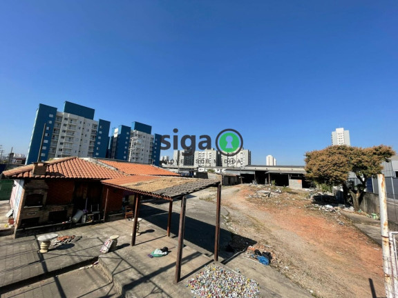 Imagem Terreno para Alugar, 1.500 m² em Aricanduva - São Paulo Imagem Terreno para Alugar, 1.500 m² em Aricanduva - São Paulo