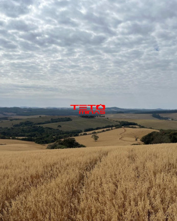 Imagem Imóvel à Venda, em Zona Rural De Zona Rural De Ipuiuna - São Lourenço Imagem Imóvel à Venda, em Zona Rural De Zona Rural De Ipuiuna - São Lourenço