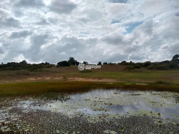 Imagem Fazenda à Venda, 300.000 m² em Lagoa Do Mato - Monte Alegre Imagem Fazenda à Venda, 300.000 m² em Lagoa Do Mato - Monte Alegre