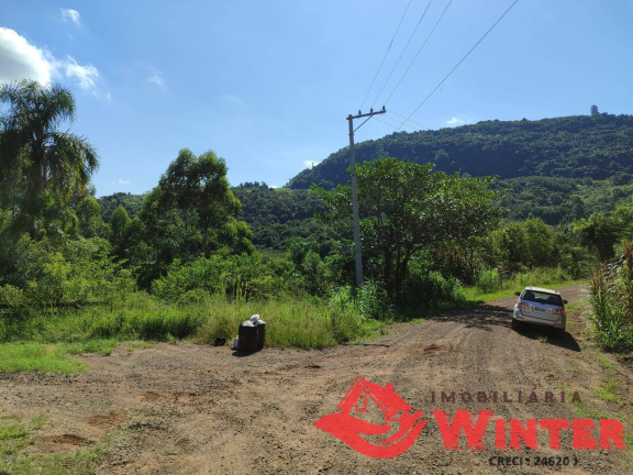 Chácara à Venda, 5 m² em Canto Lippert - Linha Nova