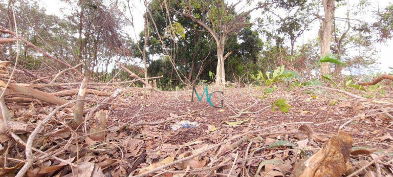 Imagem Imóvel para Alugar, 2.400 m² em Campo Grande - Rio De Janeiro Imagem Imóvel para Alugar, 2.400 m² em Campo Grande - Rio De Janeiro