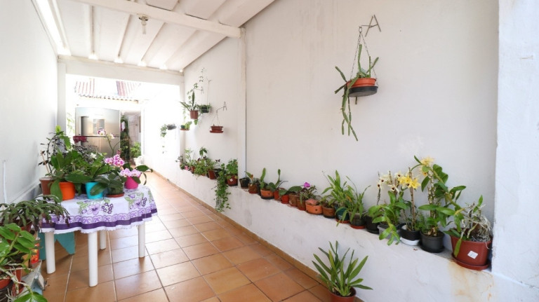 Imagem Casa com 3 Quartos à Venda, 220 m² em Vila Nova Mazzei - São Paulo Imagem Casa com 3 Quartos à Venda, 220 m² em Vila Nova Mazzei - São Paulo