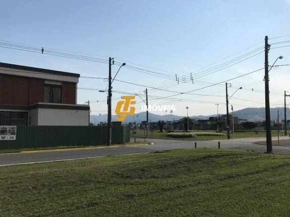 Imagem Casa com 4 Quartos à Venda, 340 m² em Caledônia - Camboriú Imagem Casa com 4 Quartos à Venda, 340 m² em Caledônia - Camboriú