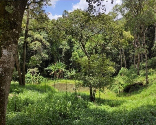 Imagem Chácara com 3 Quartos à Venda, 48.000 m² em Portão - Atibaia
