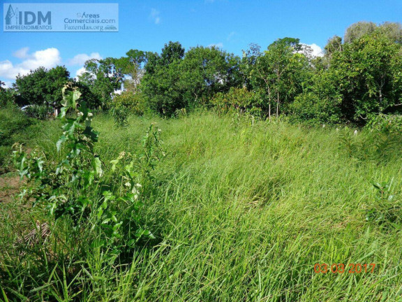 Imagem Chácara à Venda, 2.780.000 m² em Rural - Camamu Imagem Chácara à Venda, 2.780.000 m² em Rural - Camamu