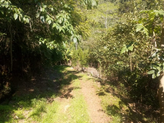 Imagem Terreno à Venda, 2 m² em Linha Temerária - Nova Petrópolis
