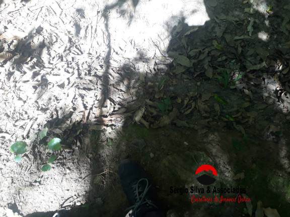 Imagem Terreno à Venda, 1 m² em Campos Do Jordão