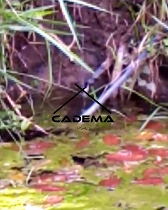 Imagem Chácara à Venda, 31 m² em Zona Rural - Socorro Imagem Chácara à Venda, 31 m² em Zona Rural - Socorro
