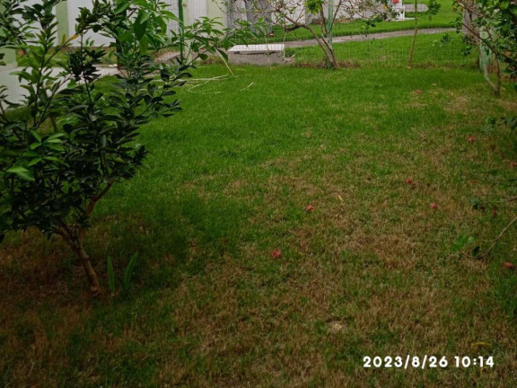 Imagem Casa com 4 Quartos à Venda, 197 m² em Paraíso Dos Pataxós - Porto Seguro Imagem Casa com 4 Quartos à Venda, 197 m² em Paraíso Dos Pataxós - Porto Seguro
