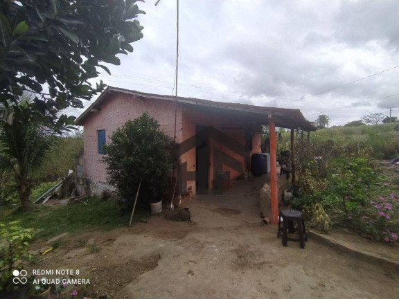 Imagem Chácara com 6 Quartos à Venda, 1.000 m² em Rural - Paudalho
