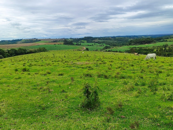 Imagem Imóvel à Venda, 193.600 m² em Centro - Itapetininga Imagem Imóvel à Venda, 193.600 m² em Centro - Itapetininga