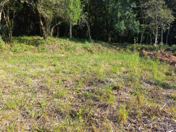 Imagem Terreno à Venda, 420 m² em Esmeralda - Santa Cruz Do Sul