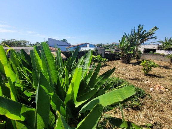 Imagem Terreno à Venda, 519 m² em Pontal De Santa Marina - Caraguatatuba Imagem Terreno à Venda, 519 m² em Pontal De Santa Marina - Caraguatatuba