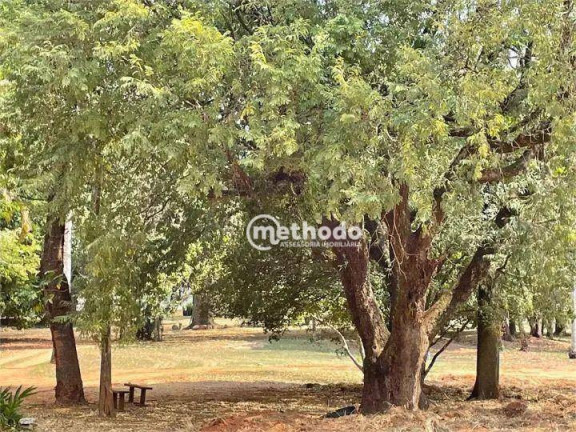 Imagem Terreno à Venda, 300 m² em Tanquinho Velho - Jaguariúna Imagem Terreno à Venda, 300 m² em Tanquinho Velho - Jaguariúna