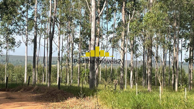 Imagem Fazenda à Venda, 220 m² em Centro - Bauru Imagem Fazenda à Venda, 220 m² em Centro - Bauru