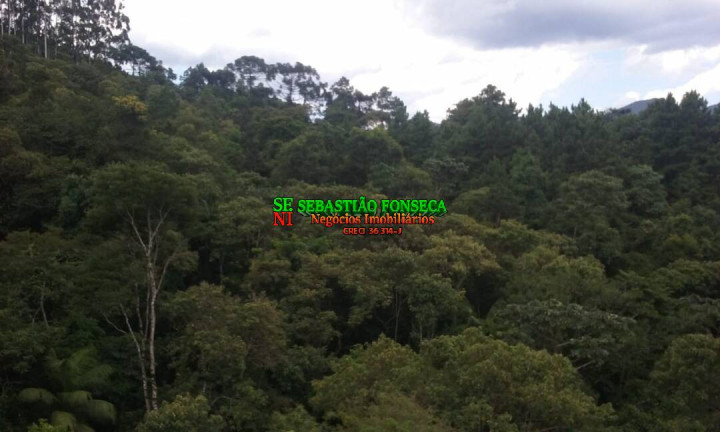 Imagem Chácara à Venda, 484.000 m² em São Francisco Xavier - São José Dos Campos Imagem Chácara à Venda, 484.000 m² em São Francisco Xavier - São José Dos Campos