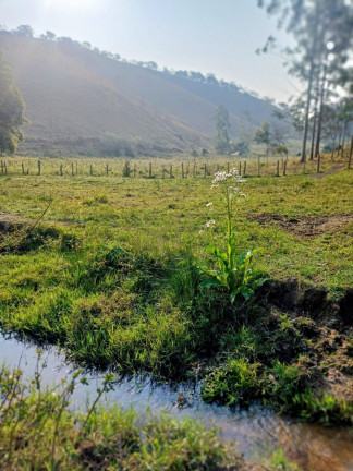 Imagem Fazenda à Venda, 240 m² em Santa Rita - São Luíz Do Paraitinga