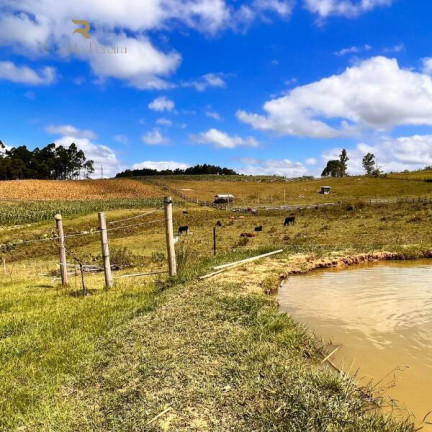 Imagem Chácara à Venda, 20.000 m² em Gravataí Imagem Chácara à Venda, 20.000 m² em Gravataí