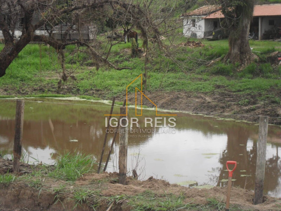 Imagem Fazenda à Venda, 365 m² em Tanguá Imagem Fazenda à Venda, 365 m² em Tanguá