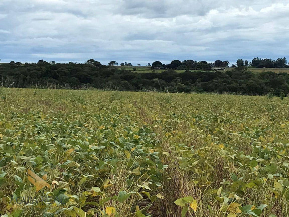Imagem Chácara com 3 Quartos à Venda, 94.000 m² em Zona Rural - Sidrolândia Imagem Chácara com 3 Quartos à Venda, 94.000 m² em Zona Rural - Sidrolândia