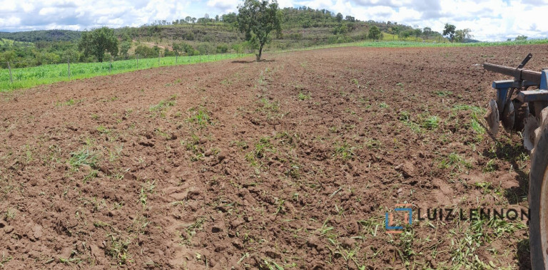 Imagem Imóvel com 3 Quartos à Venda, 820.000 m² em Centro - Varjão De Minas