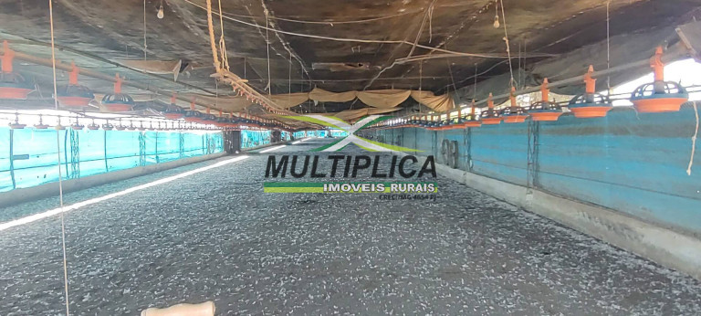 Imagem Chácara à Venda, 3 m² em Uberlândia Imagem Chácara à Venda, 3 m² em Uberlândia