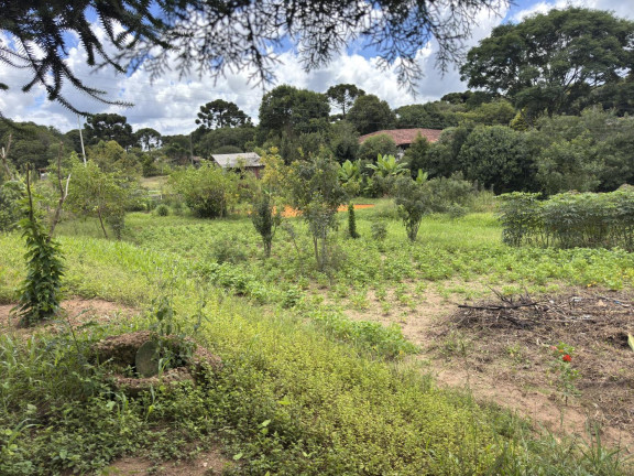 Imagem Imóvel à Venda, 5.500 m² em Rio Da Várzea - Quitandinha Imagem Imóvel à Venda, 5.500 m² em Rio Da Várzea - Quitandinha