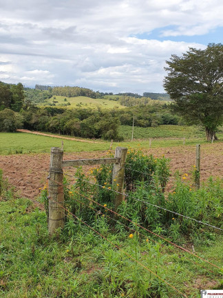 Imóvel à Venda, 70.000 m² em Zona Rural - Sentinela Do Sul