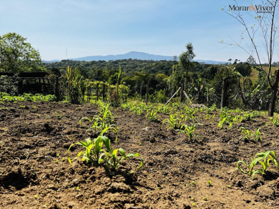 Imagem Chácara à Venda, 6.300 m² em Zona Rural - Tijucas Do Sul Imagem Chácara à Venda, 6.300 m² em Zona Rural - Tijucas Do Sul