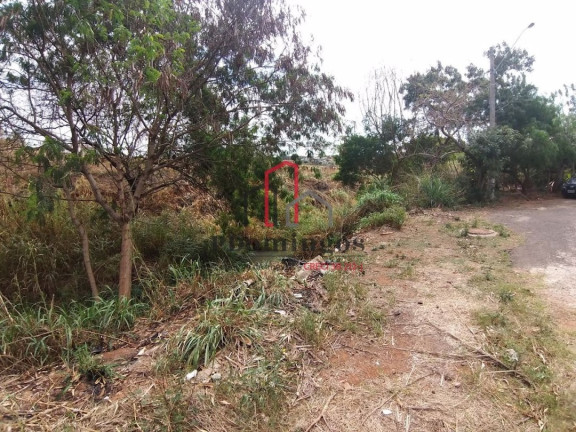Imagem Terreno à Venda, 286 m² em Jardim Dulce (nova Veneza) - Sumaré Imagem Terreno à Venda, 286 m² em Jardim Dulce (nova Veneza) - Sumaré