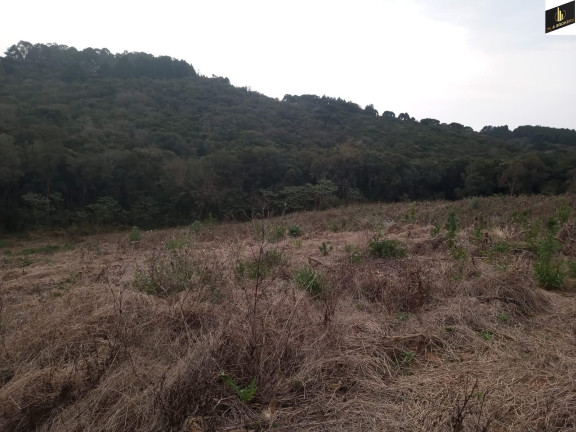 Imagem Imóvel à Venda, 96.800 m² em Colonia Marcelino - São José Dos Pinhais