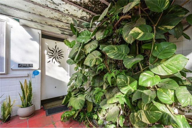 Imagem Casa com 3 Quartos à Venda, 100 m² em Vila Mariana - São Paulo