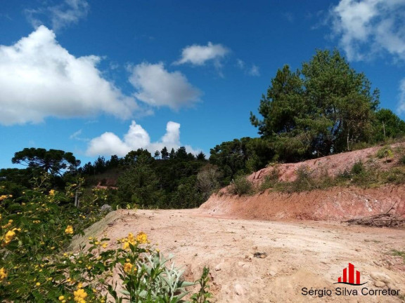 Imagem Terreno à Venda, 1 m² em Descansópolis - Campos Do Jordão Imagem Terreno à Venda, 1 m² em Descansópolis - Campos Do Jordão