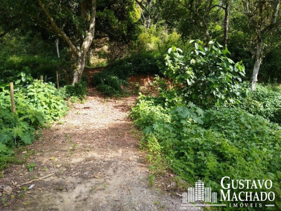 Imagem Terreno à Venda, 19.200 m² em Roma - Volta Redonda Imagem Terreno à Venda, 19.200 m² em Roma - Volta Redonda