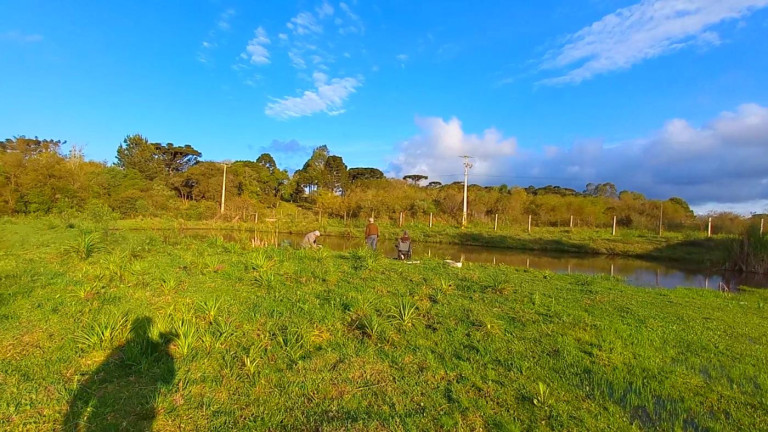 Imagem Chácara à Venda, 32.800 m² em Ambrósio - Tijucas Do Sul Imagem Chácara à Venda, 32.800 m² em Ambrósio - Tijucas Do Sul