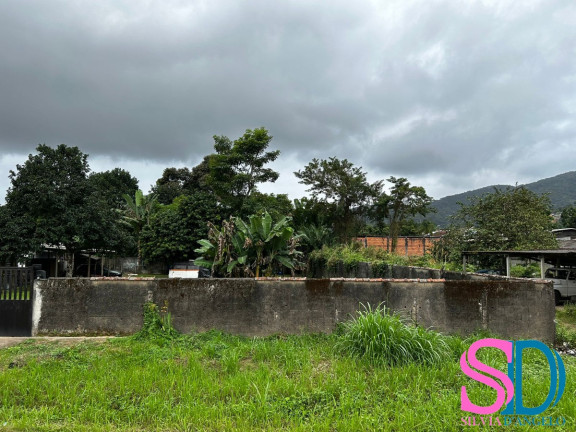Imagem Terreno à Venda, 650 m² em Mato Dentro - Ubatuba Imagem Terreno à Venda, 650 m² em Mato Dentro - Ubatuba