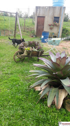 Imagem Imóvel com 2 Quartos à Venda, 95 m² em Zona Rural - Sentinela Do Sul Imagem Imóvel com 2 Quartos à Venda, 95 m² em Zona Rural - Sentinela Do Sul