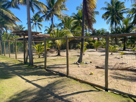 Imagem Terreno à Venda, 1 m² em Saquaíra - Marau Imagem Terreno à Venda, 1 m² em Saquaíra - Marau