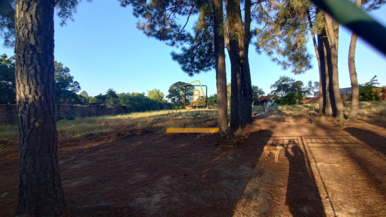 Imagem Terreno à Venda, 10.000 m² em Pinheirinho - Itu Imagem Terreno à Venda, 10.000 m² em Pinheirinho - Itu